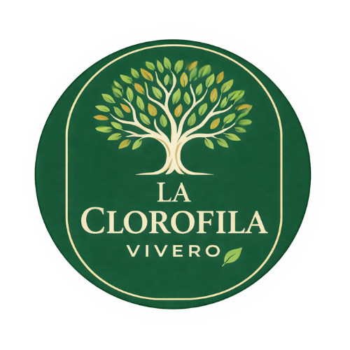 La Clorofila Vivero
